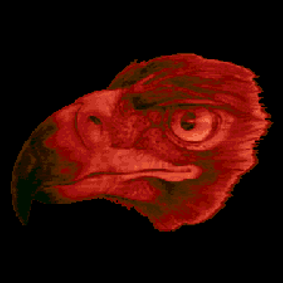 Meterufications Patreon Creator Profile