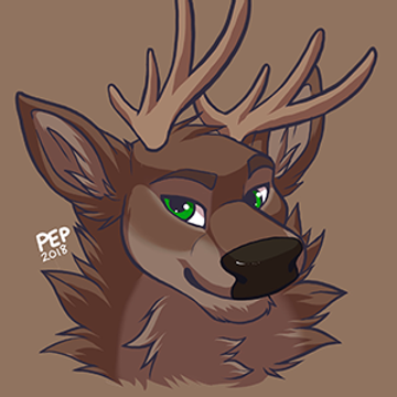 Spruce Moki