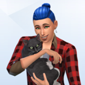 IlexSims