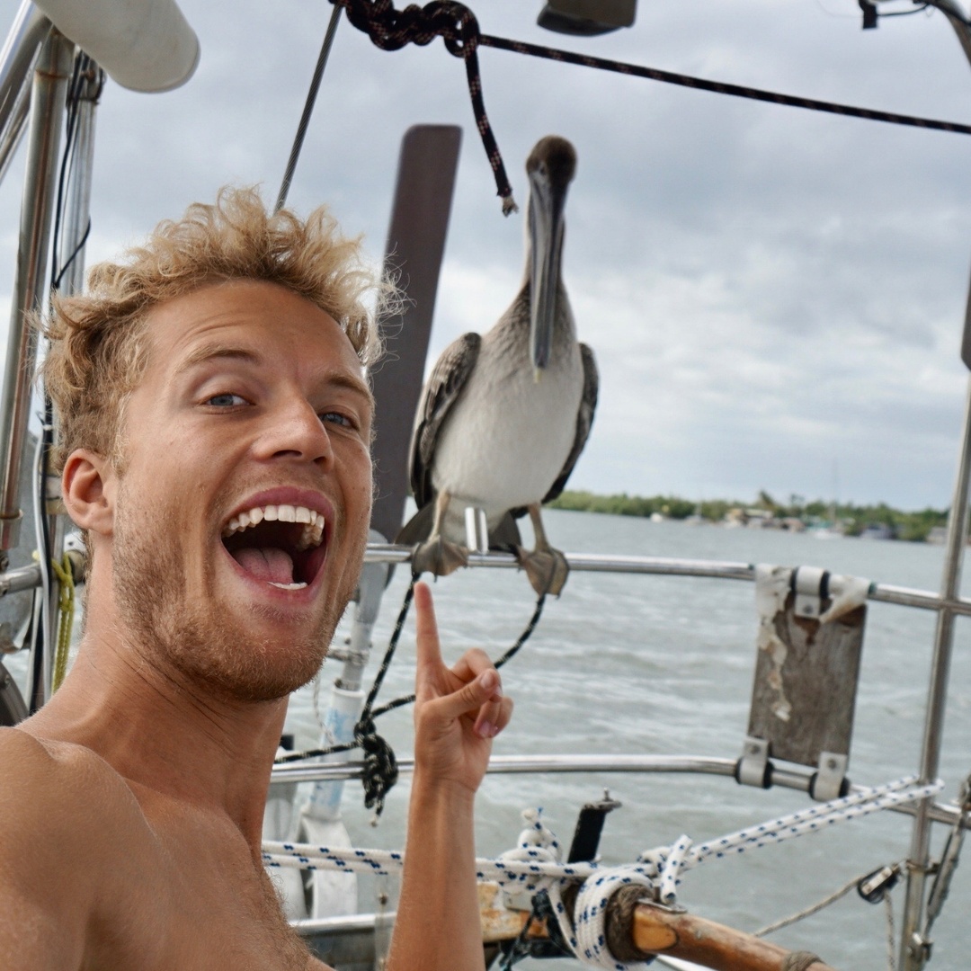Sailing Malou Patreon Creator Profile