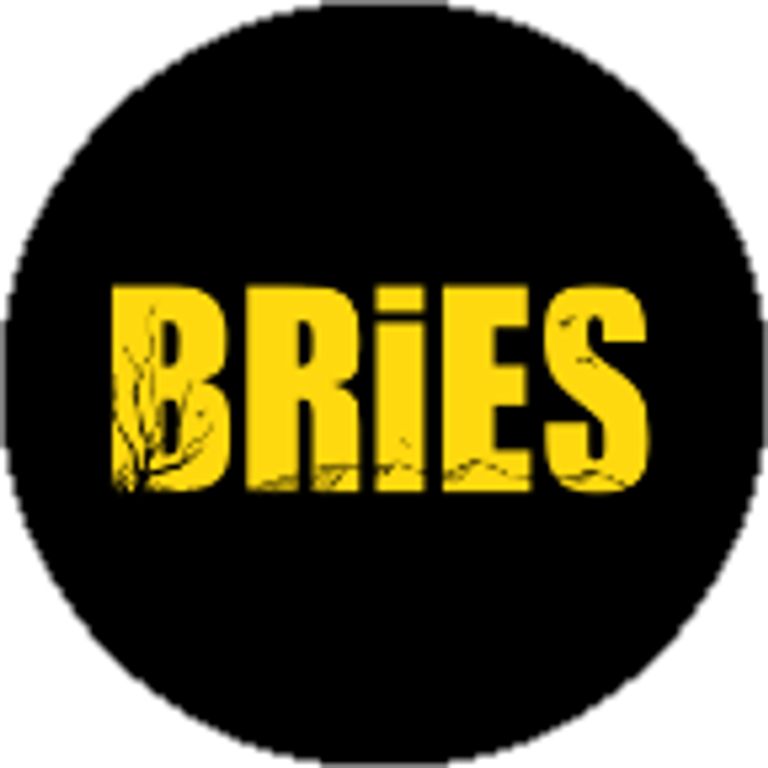 BRiES