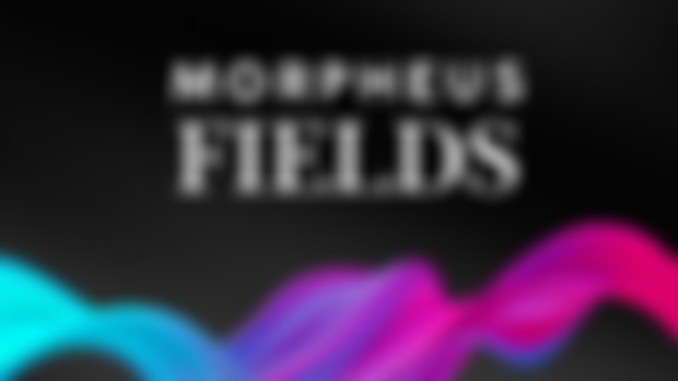 The Harmonic Renewal (Premium Field)