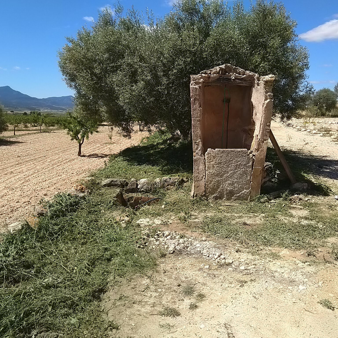 Finca Life