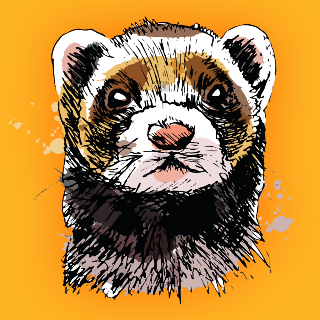 Paçoca Tech Patreon Creator Profile