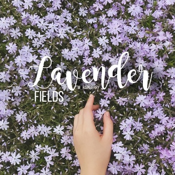 Lavender Fields