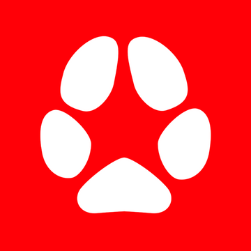 Paw Squadron