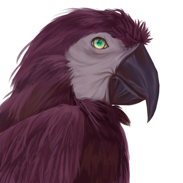 Plum Parrot
