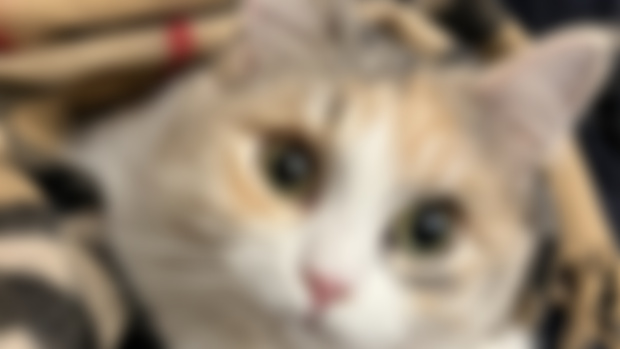Test upcoming 5