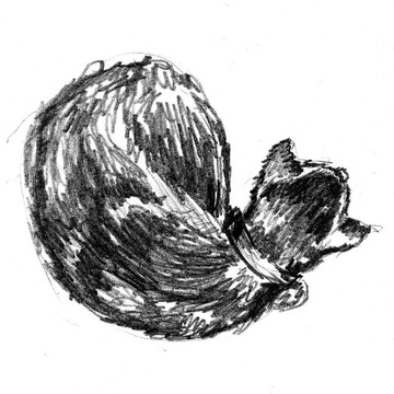 wataidro's Patreon profile picture