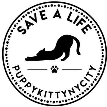 PuppyKittyNYCity