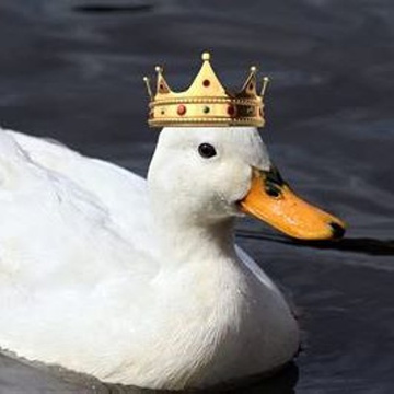 The Tales of Ducky