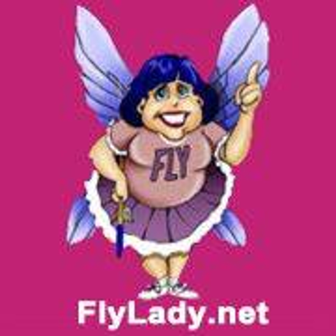 TheFlyLady