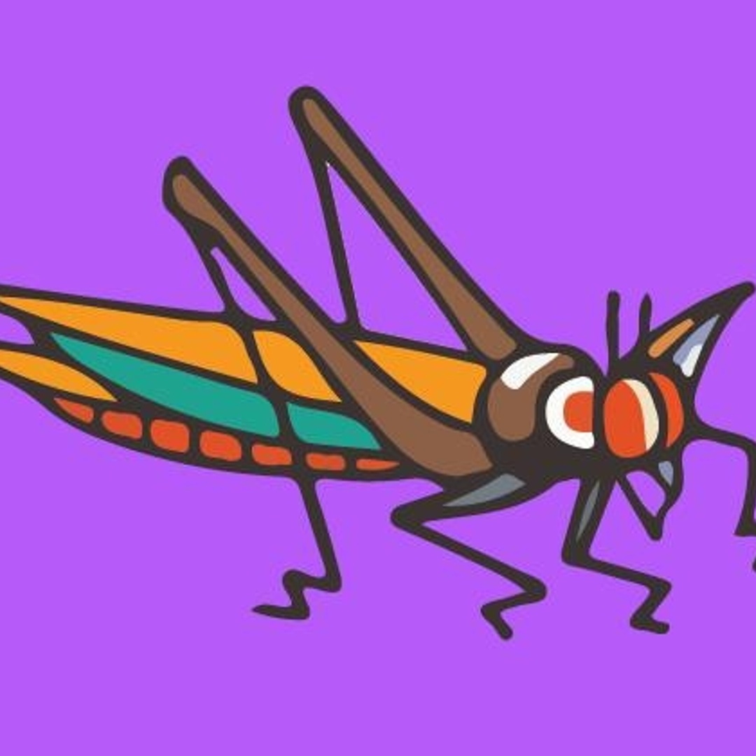 bmfsdb Patreon Creator Profile