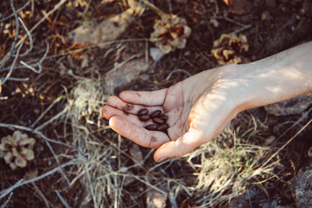 Episode #76: Sylvia Poareo on Planting Seeds of Collective and Inclusive Regeneration