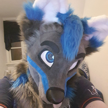 REXOThehusky's Patreon profile picture