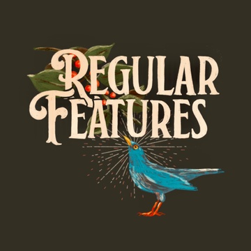 Regular Features's Patreon profile picture