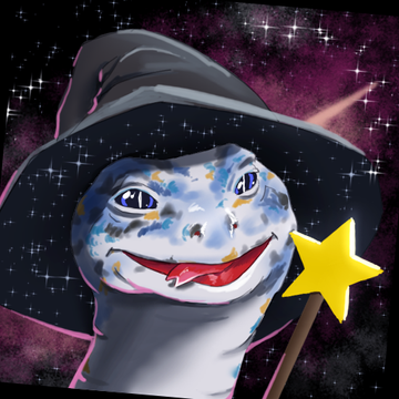 Lizard Wizard Project