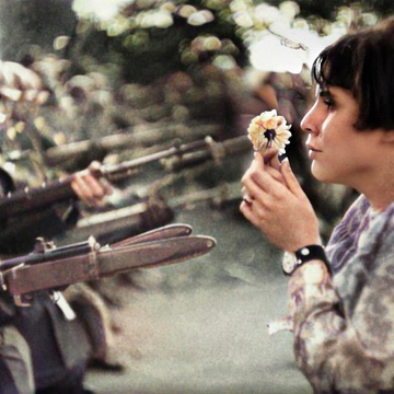 FlowerAndBayonet 不曾遠去的硝煙