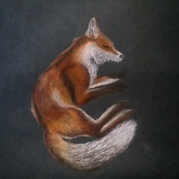 Fox & Folk