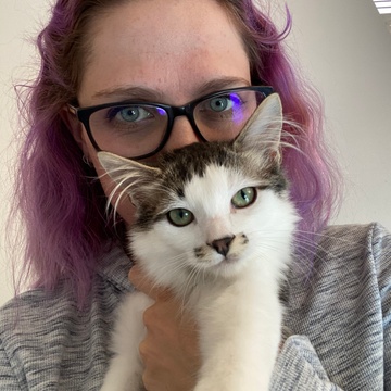For the Love of Kitten Rescue