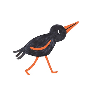 Orange Beak Picture Book Club