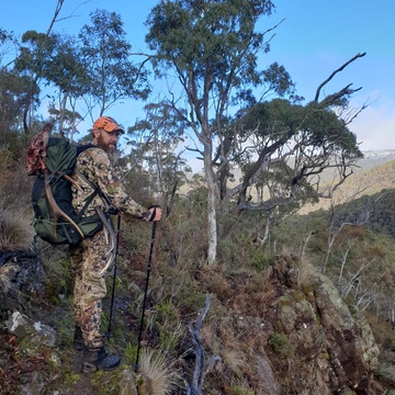 Zebra's Sambar hunting adventures.