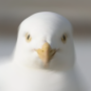 Seagull3D's Patreon profile picture