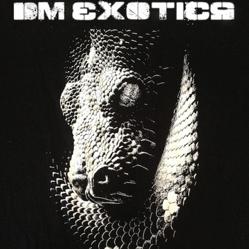 DM Exotics