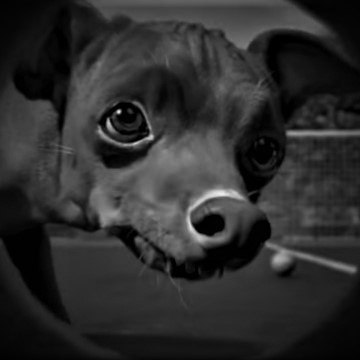 Ftefanko Mods Patreon Creator Profile