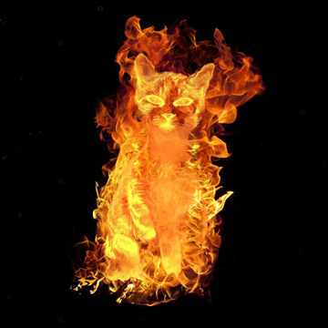 Firecat888888's Patreon profile picture
