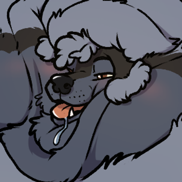 CollinthePoodle