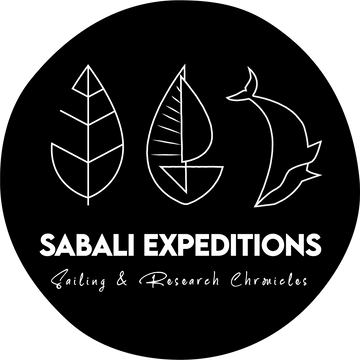 Sabali Expeditions's Patreon profile picture