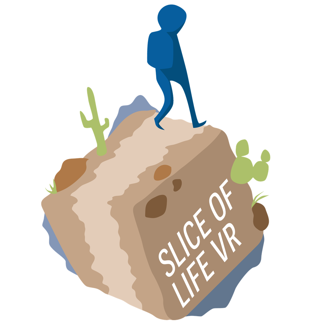 Slice of life VR
