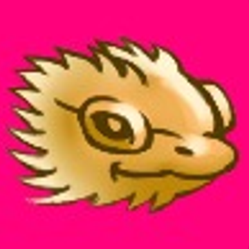 Pogona