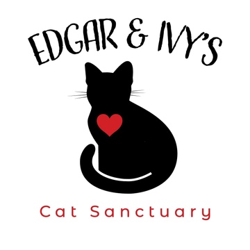 Edgar and Ivys Cat Sanctuary