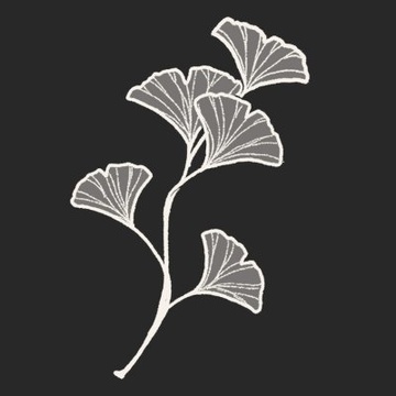 STUKITORA