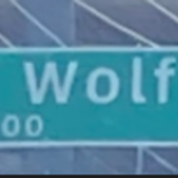 wolf
