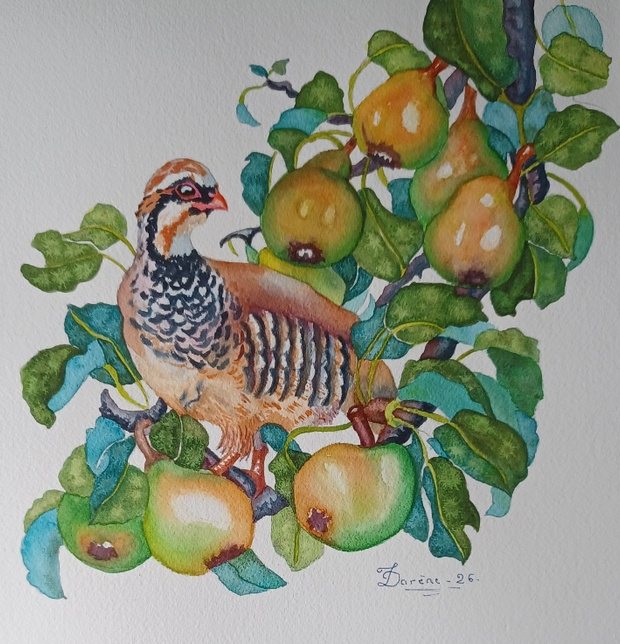 Isa-Partridge in pears.jpg