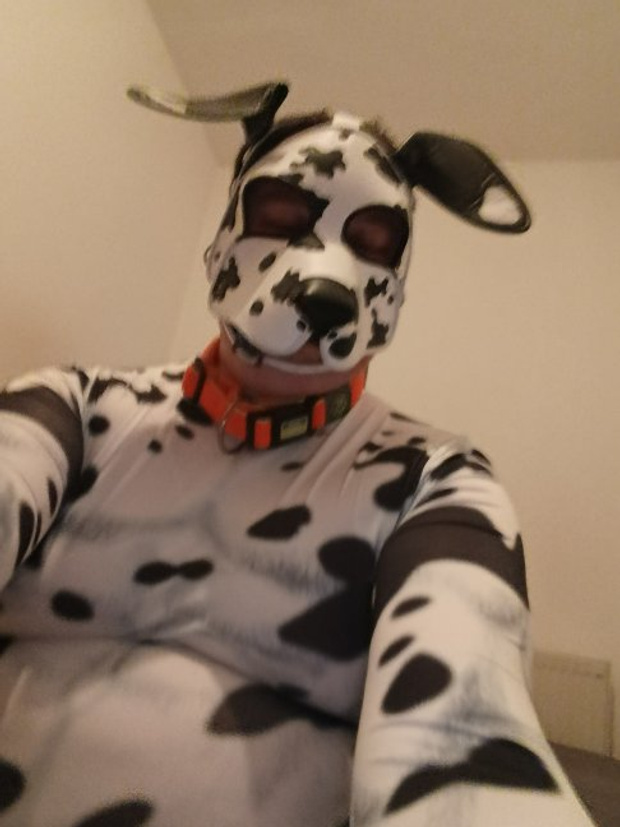 667107684