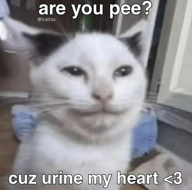 576500917