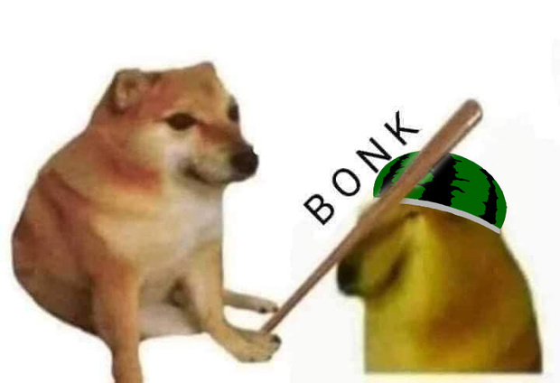 bonk.jpg