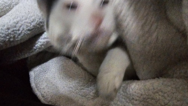 675935751