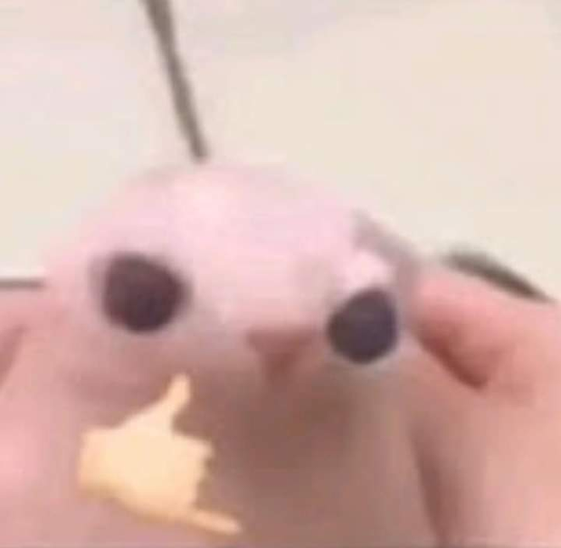 GWF1QutWMAAIv6d.png