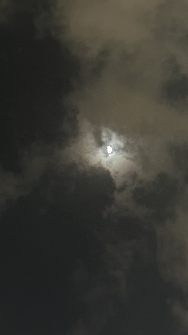 9897D8F5-FCAA-49F2-A2CB-A2643C3A7DEA.jpg