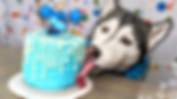 Next Video Preview!