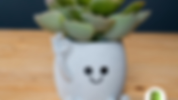 Single Hand OK sitting Pot