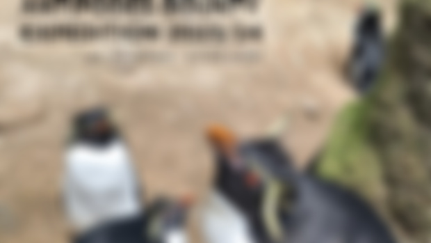 The Antipodes-Bounty Expedition 2023/24 report is out!