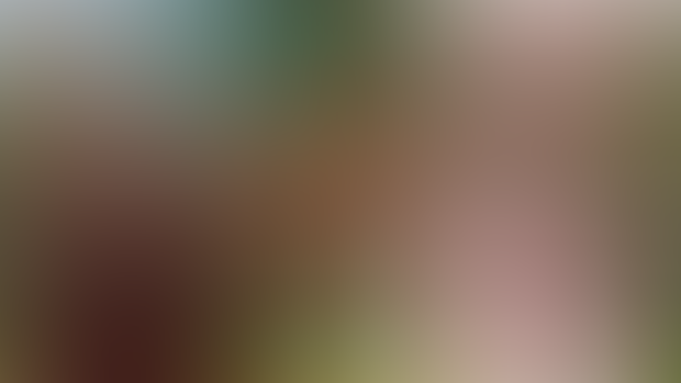 Cute boy turn in to Cute bunny ear girl- TG TF Animation Boy to Cute girl Ep-27
