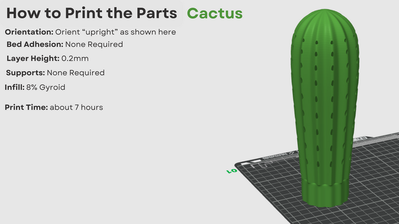 Cactus Toothpick holder | Patreon