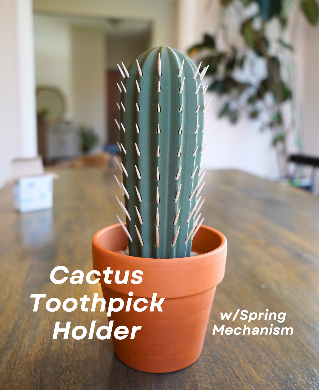 fluffy cactus Mammillaria Plumosa 'Feather Cactus' | Succulent Gift Decor Ideas